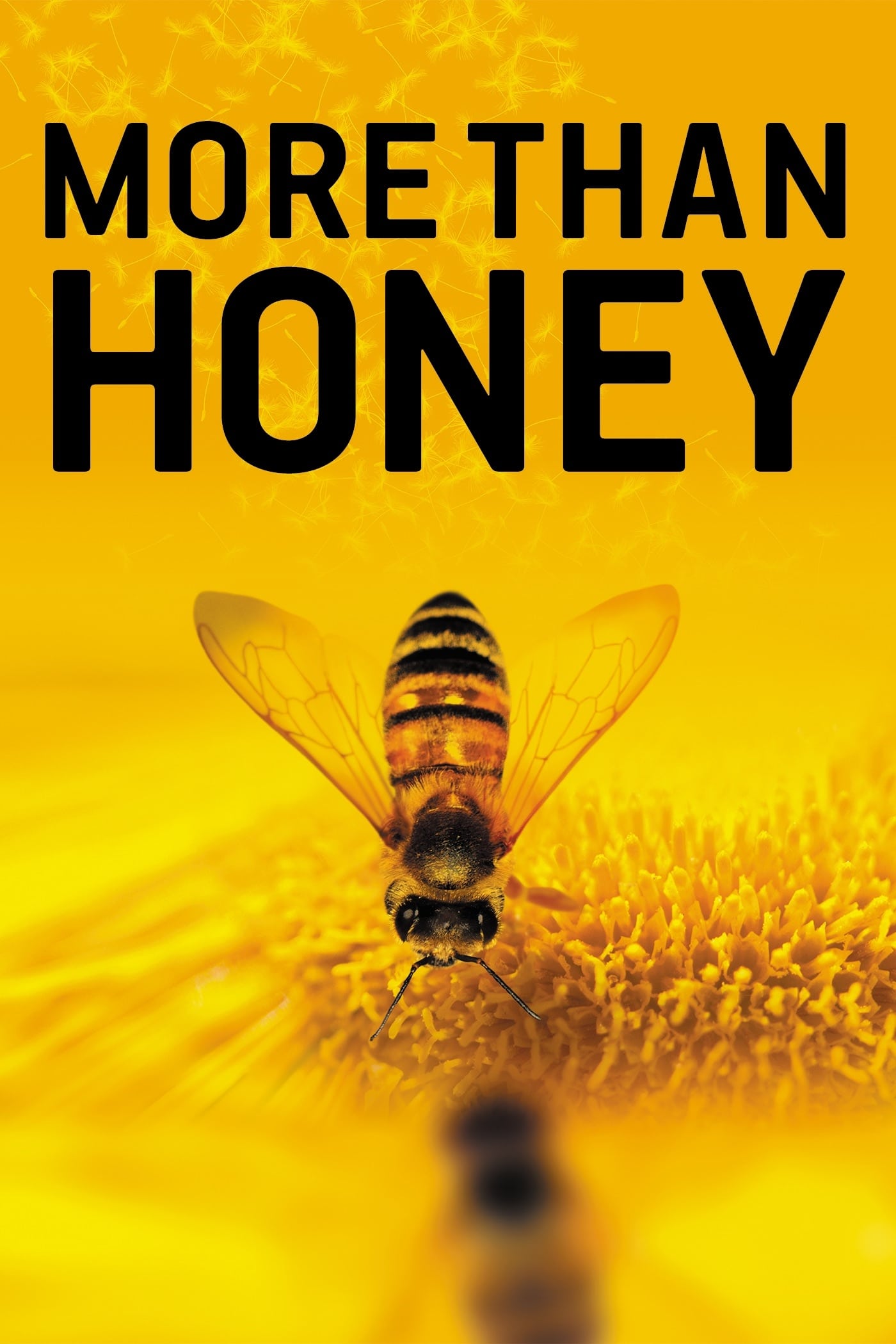 More Than Honey (2012) [33345] (A1701706879) [[Movies]] --Plex--